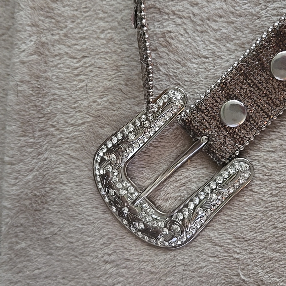 Elegant Silver and Brown Embellished Belt